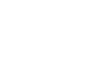 Arquea